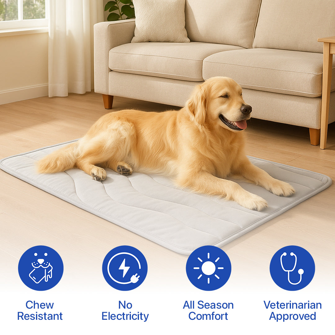 DrPaws™ Cooling Dog Mat