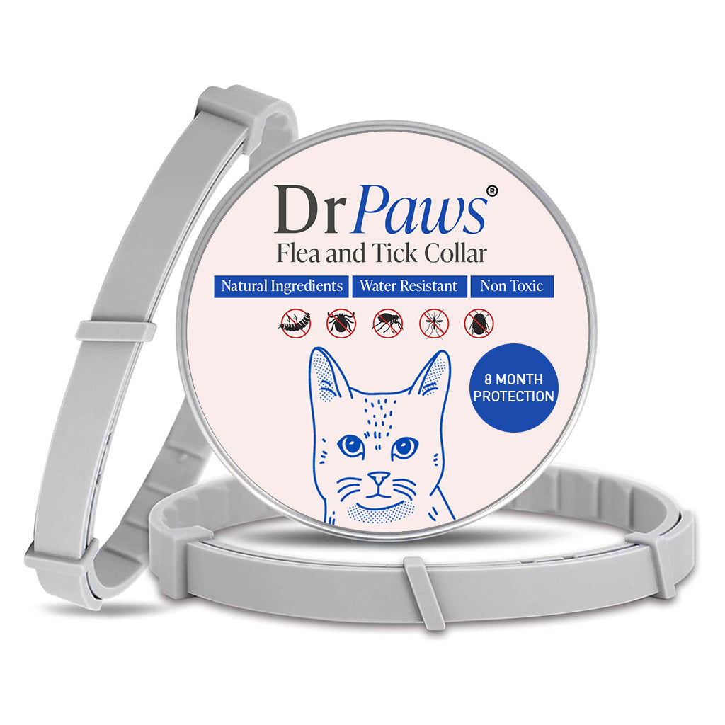 DrPaws 8 Months Flea and Tick Free Collar