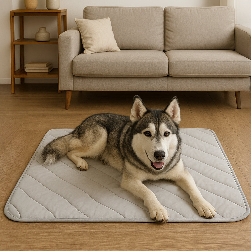 DrPaws™ Cooling Dog Mat
