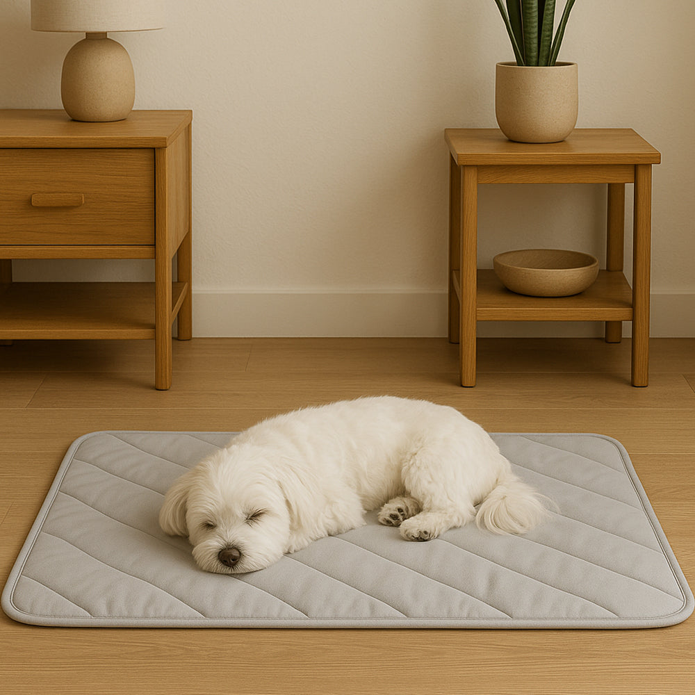 DrPaws™ Cooling Dog Mat