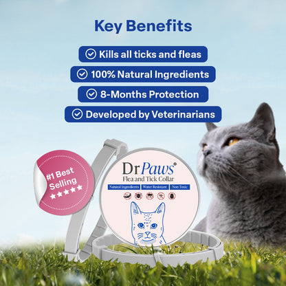 DrPaws® 8 Months Flea and Tick Free Collar