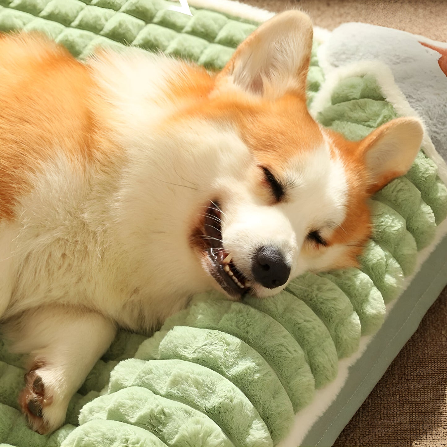 DrPaws™ Orthopedic Dog Bed