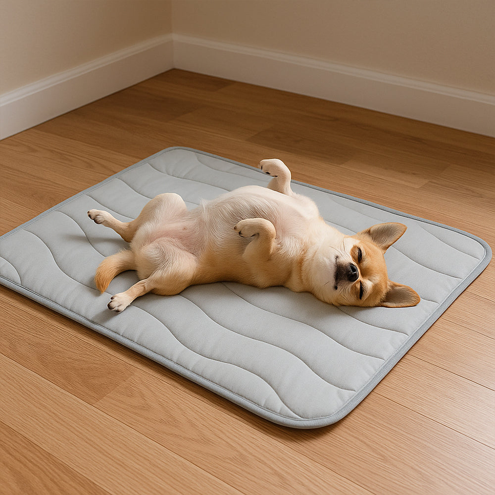 DrPaws™ Cooling Dog Mat